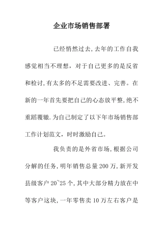 企业市场销售部署