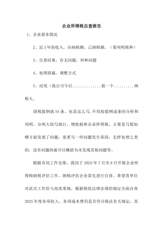 企业所得税自查报告