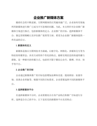企业推广新媒体方案