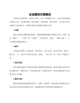 企业整改方案格式