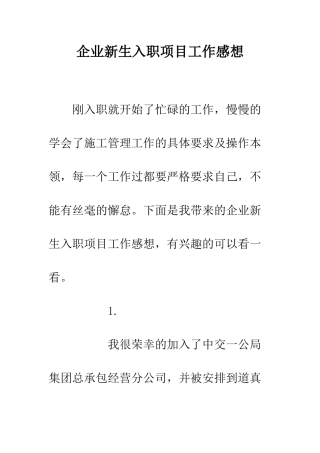 企业新生入职项目工作感想