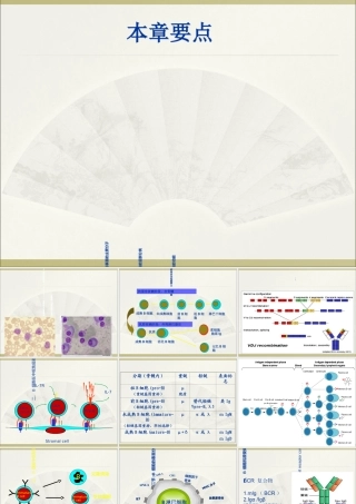 淋巴细胞T淋巴细胞