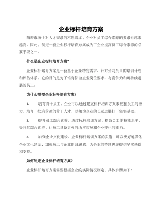 企业标杆培养方案