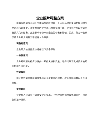 企业照片调整方案