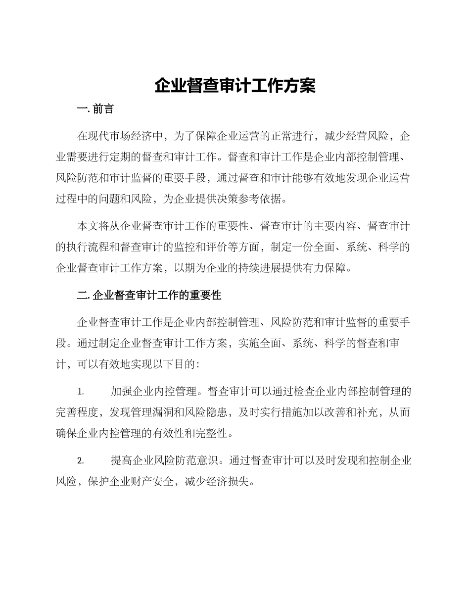 企业督查审计工作方案_第1页