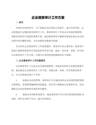 企业督查审计工作方案
