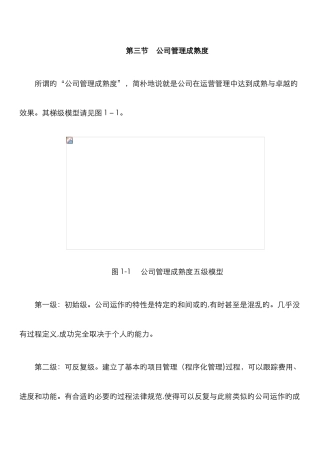 企业管理成熟度