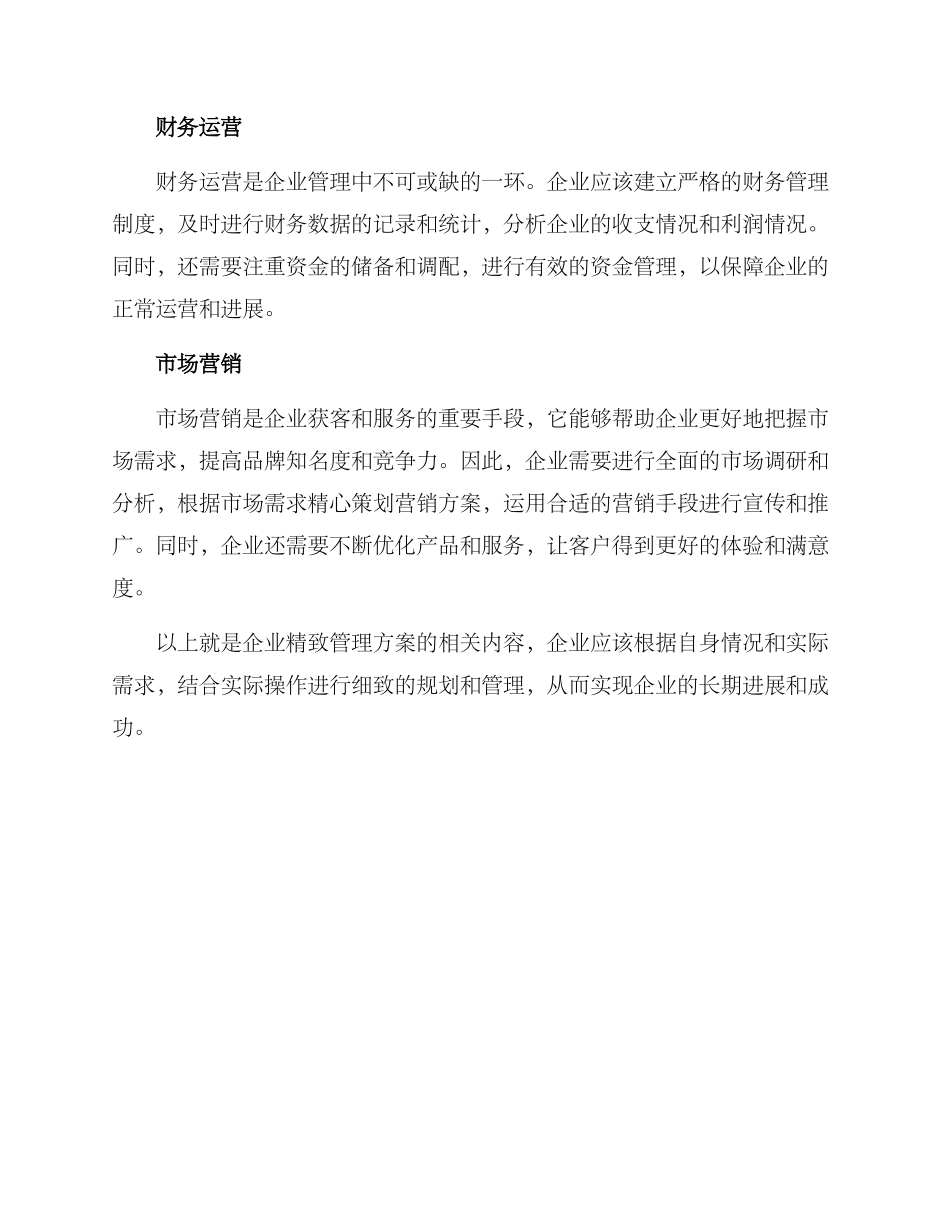 企业精致管理方案_第2页