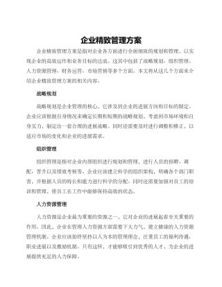 企业精致管理方案