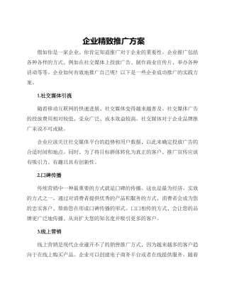企业精致推广方案