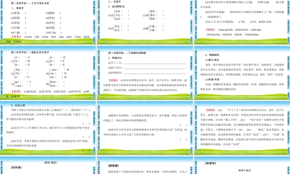 南州六月荔枝丹