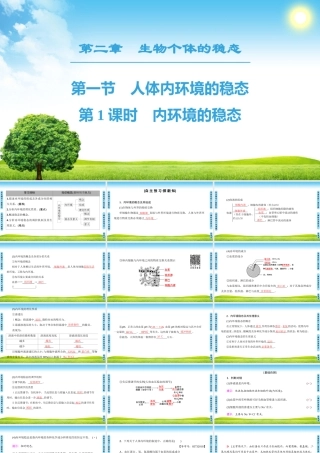 内环境的稳态