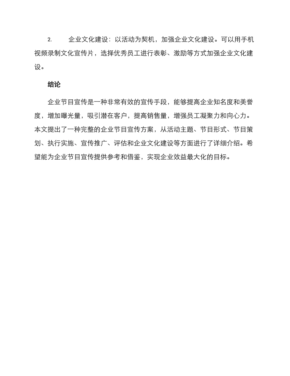 企业节目宣传方案_第3页