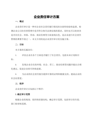 企业责任审计方案