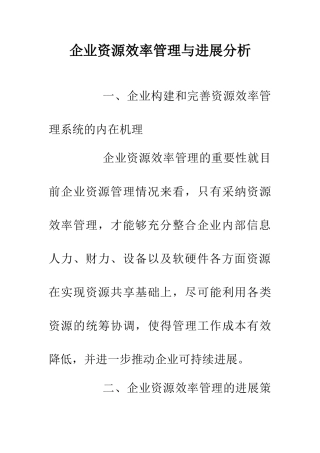 企业资源效率管理与发展分析