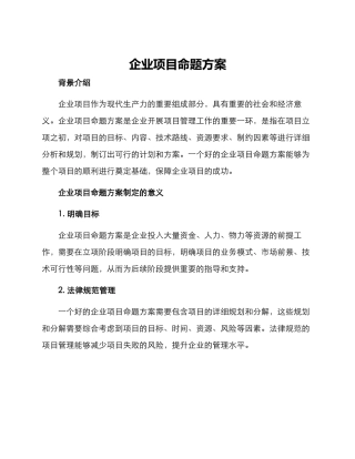 企业项目命题方案