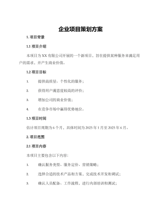 企业项目策划方案