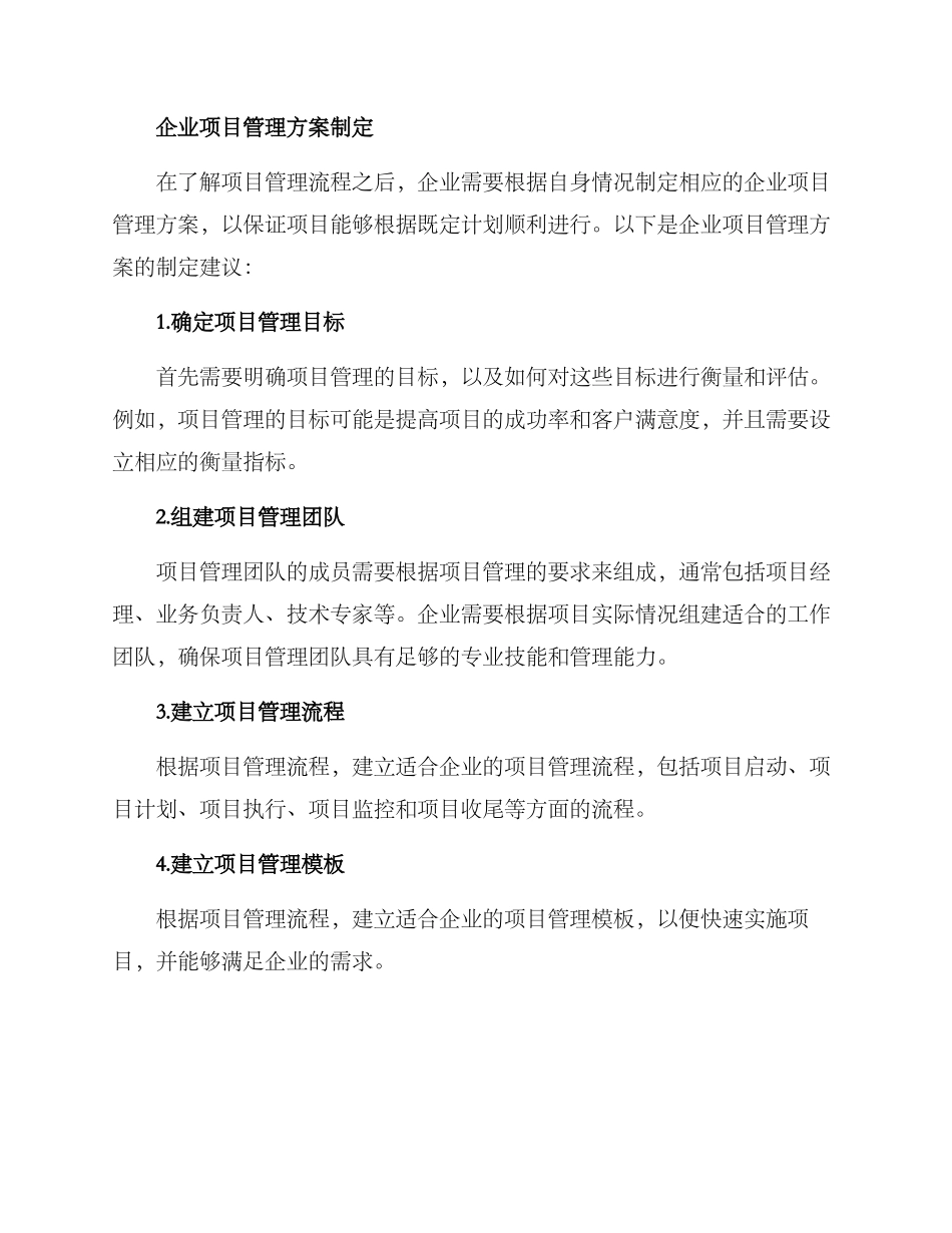 企业项目管理方案_第2页