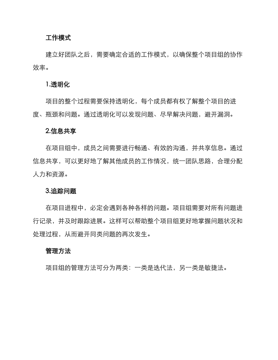 企业项目组管理方案_第2页