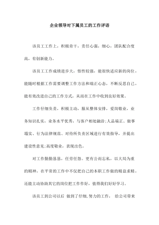 企业领导对下属员工的工作评语
