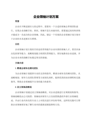 企业领袖计划方案
