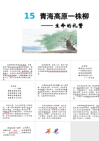 青海高原一株柳
