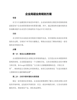 企业高层业务规划方案