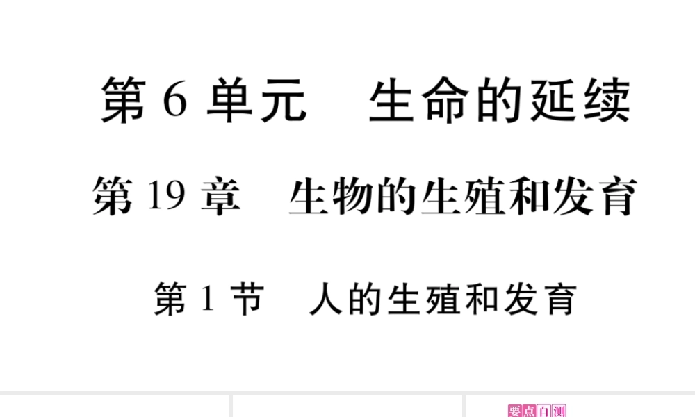 人的生殖和发育