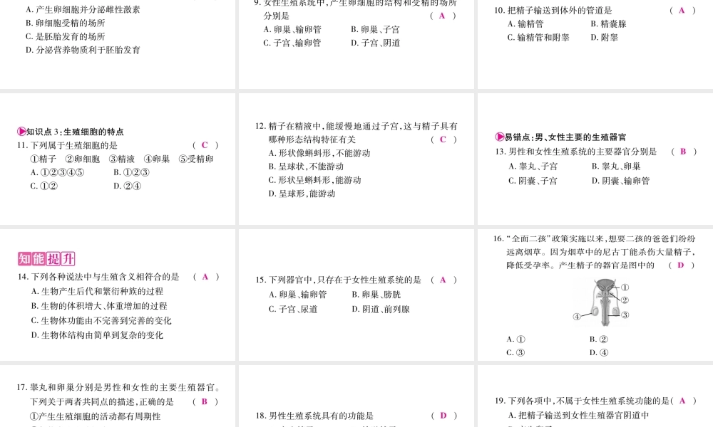 人的生殖和发育