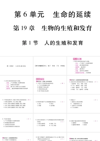 人的生殖和发育