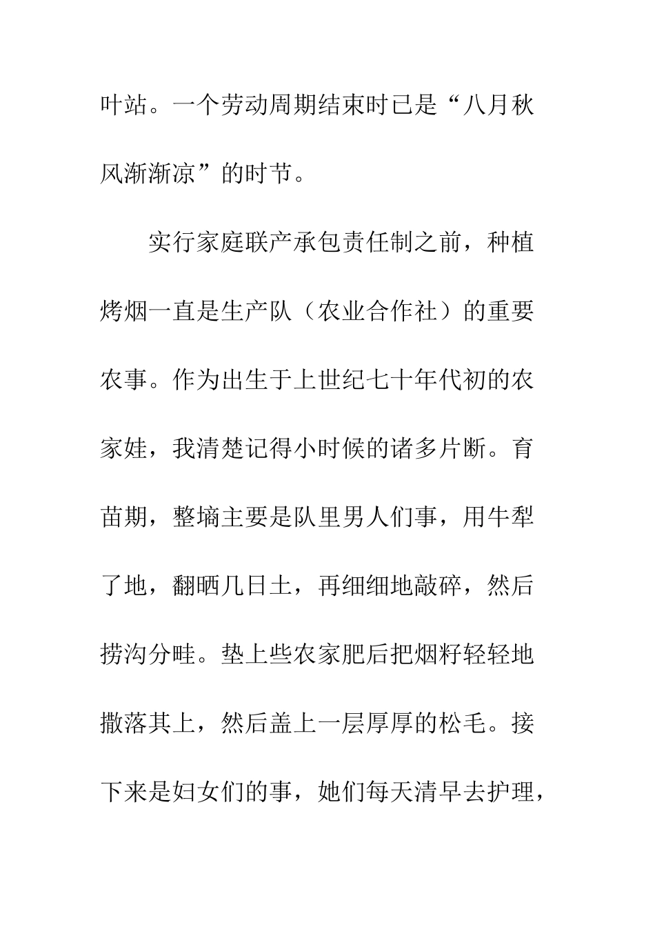 优秀散文欣赏暖暖的烤烟房_第3页