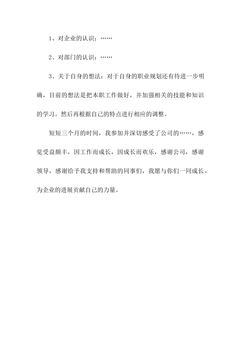 优秀试用期工作总结范文_第2页