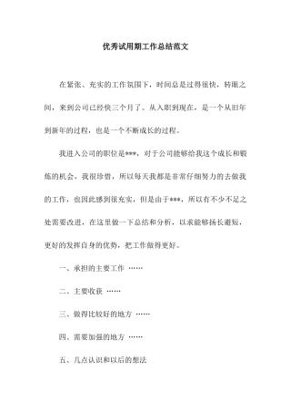 优秀试用期工作总结范文