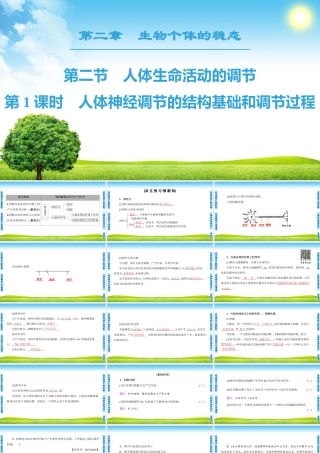 人体神经调节的结构基础和调节过程