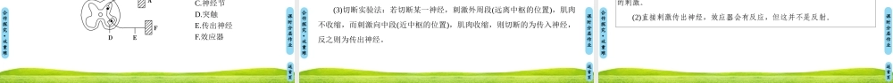 人体神经调节过程和人脑的高级功能