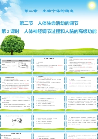 人体神经调节过程和人脑的高级功能