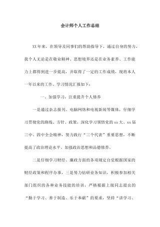 会计师个人工作总结