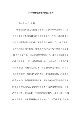 会计师事务所实习周记范例