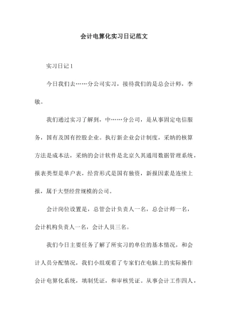 会计电算化实习日记范文