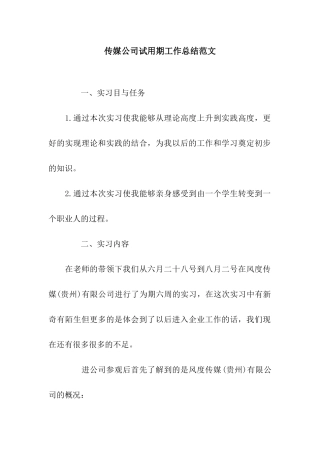 传媒公司试用期工作总结范文