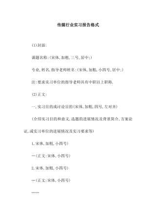 传媒行业实习报告格式