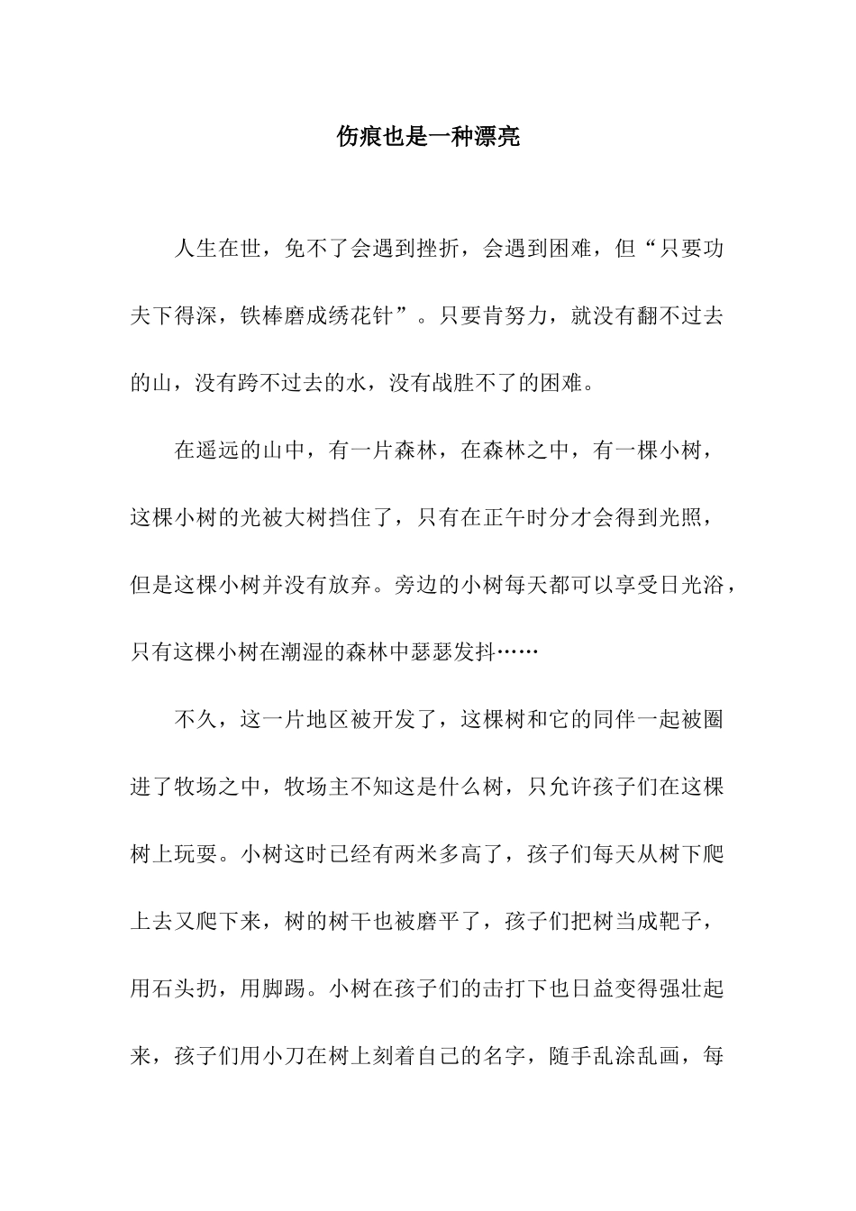 伤痕也是一种美丽_第1页