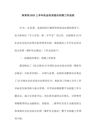 体育局2025上半年社会治安综合治理工作总结