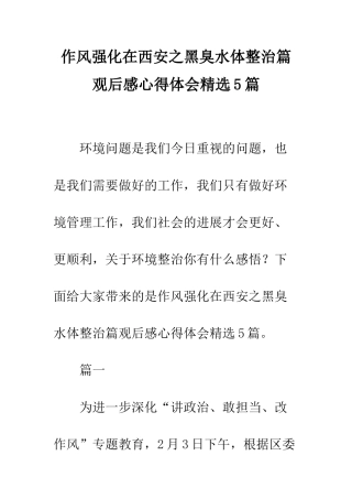 作风强化在西安之黑臭水体整治篇观后感心得体会精选5篇