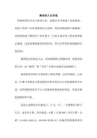 佩奇的人生价值