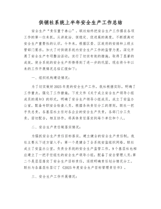 供销社系统上半年安全生产工作总结