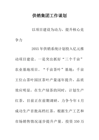 供销集团工作谋划