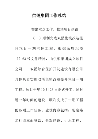 供销集团工作总结