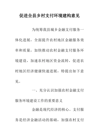促进全县乡村支付环境建构意见
