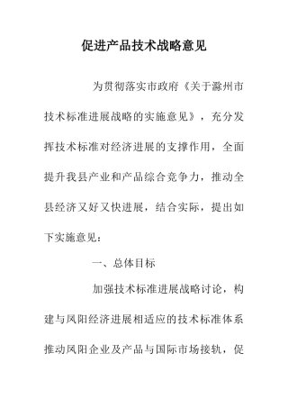 促进产品技术战略意见